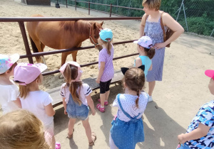 Dzieci stoją przy wybiegu dla koni