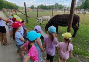 Dzieci stoją obok wybiegu dla osłów