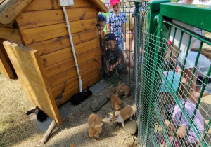 Dzieci obserwują zagrodę dla królików