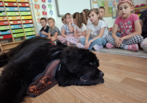 Dzieci siedzą obok odpoczywającego psa