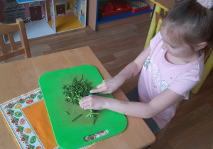 Dziecko kroi szczypiorek