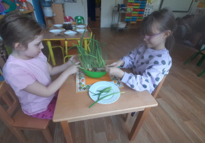 Dzieci zrywają szczypiorek