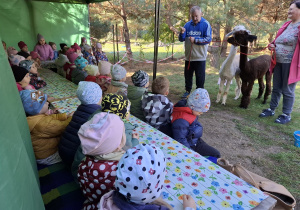 Dzieci słuchają pana opowiadającego o alpakach