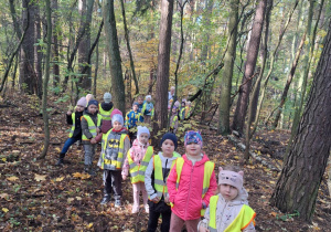 Grupa dzieci spaceruje po lesie