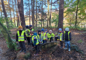 Chłopcy w lesie pozują do zdjęcia stojąc na kamieniach