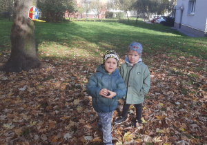 Dzieci zbierają kasztany