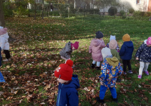 Dzieci szukają kasztanów