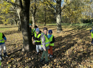 Park Szarych Szeregów