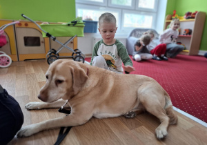 Chłopiec głaszcze psa