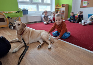 Chłopiec głaszcze psa