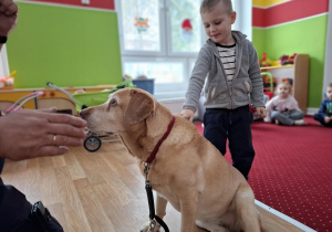 Chłopiec głaszcze psa