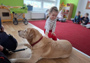 Dziewczynka głaszcze psa