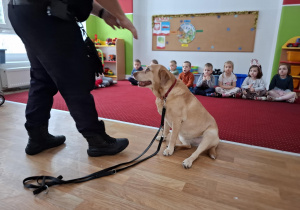Prowadzący instruuje dzieci, w jaki sposób podchodzić do obcego psa