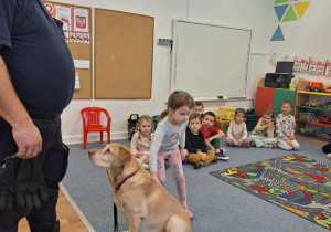 Dziecko głaszcze psa