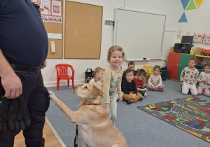 Dziecko głaszcze psa