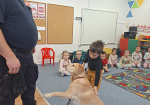 Dziecko głaszcze psa