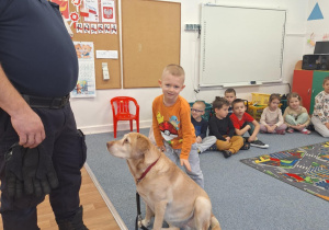 Dziecko głaszcze psa