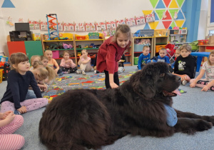 Dziewczynka głaszcze siedzącego psa