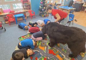 Grupa dzieci na dywanie przyjmuje pozycje żółwia