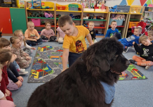 Chłopiec głaszcze siedzącego psa