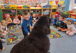 Chłopiec głaszcze siedzącego psa