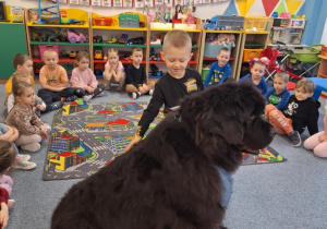 Chłopiec głaszcze siedzącego psa