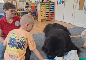 Chłopiec karmi siedzącego na dywanie psa