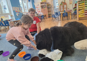 Dziewczynka karmi siedzącego na dywanie psa