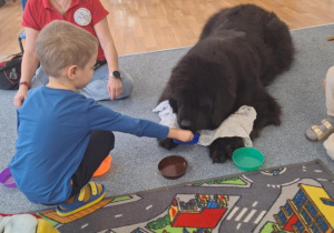 Chłopiec karmi siedzącego na dywanie psa