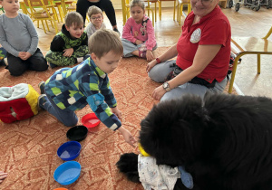 Chłopiec podaje psu smaczka na podstawku