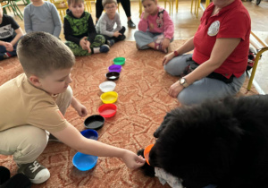 Chłopiec podaje psu smaczka na podstawku