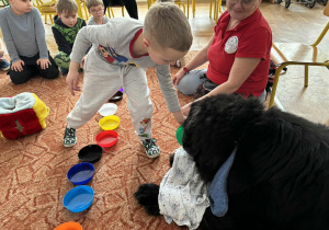 Chłopiec podaje psu smaczka na podstawku