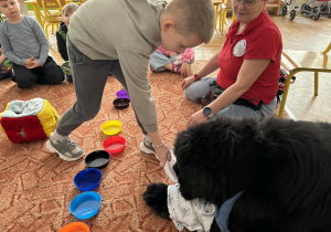 Chłopiec podaje psu smaczka na podstawku