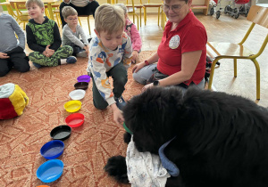 Chłopiec podaje psu smaczka na podstawku