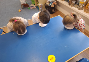 Grupa dzieci siedzi przy stoliku i pije mleko z talerzyka językiem jak kot