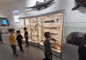 Dzieci oglądają eksponaty