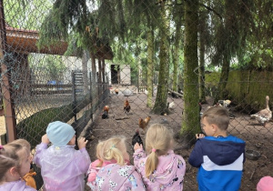 Dzieci oglądają zagrody ze zwierzętami