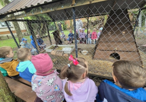 Dzieci oglądają zagrody ze zwierzętami