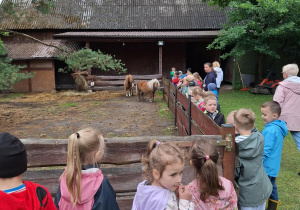 Dzieci przed zagrodą z kucykami