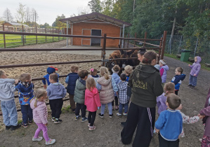 Dzieci obserwują osły w zagrodzie