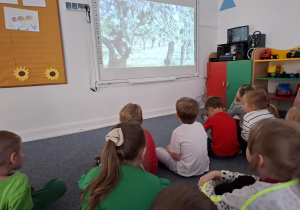 Dzieci oglądają film edukacyjny dotyczący jabłek