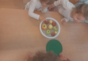 Dzieci badają właściwości jabłek