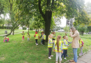 Dzieci szukają pod drzewem kasztanów