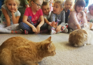 Dzieci siedzą na dywanie, obserwując kota i królika