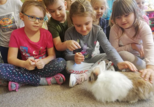 Dzieci siedzą na dywanie i głaszczą królika