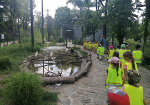 Grupa dzieci idzie para za parą obok wybiegu z hipopotamami